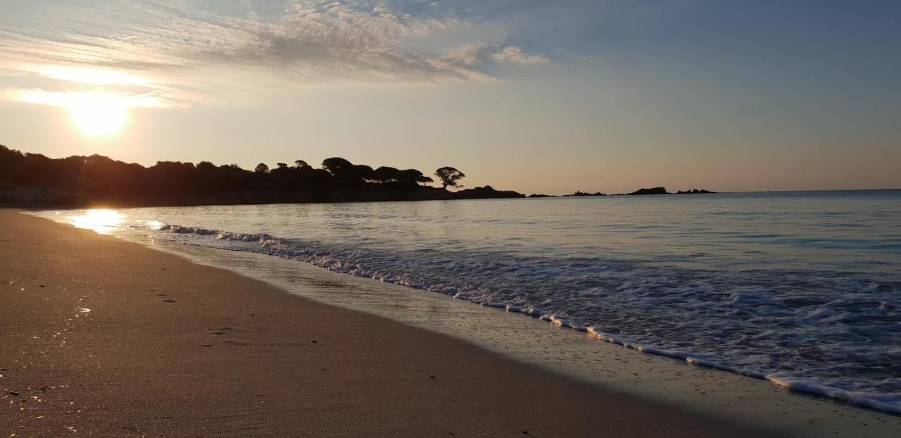 Residence Liccia Di Furu Porto-Vecchio  Eksteriør bilde