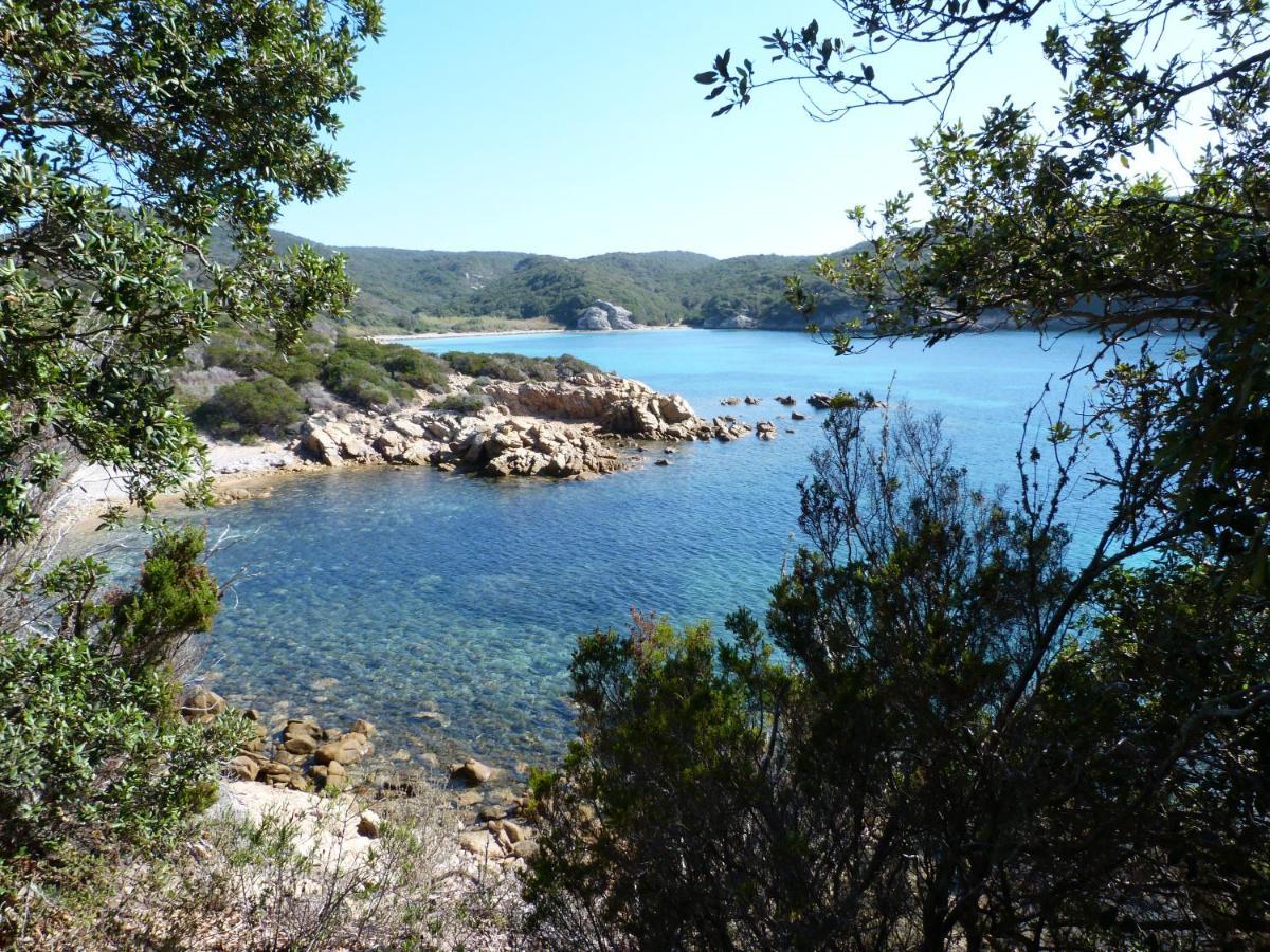 Residence Liccia Di Furu Porto-Vecchio  Eksteriør bilde